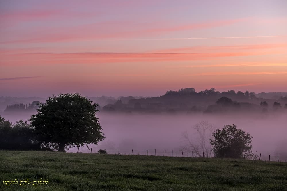 Coloré petit jour