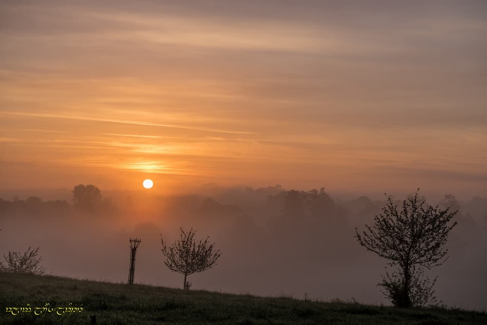 Les cirrus et la brume