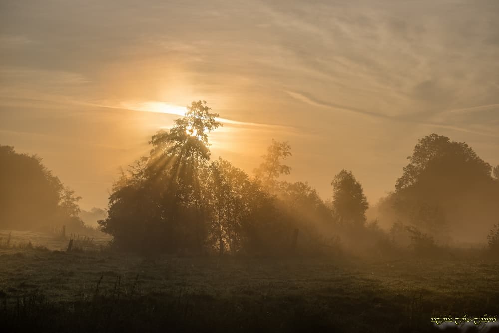 Quelques rayons