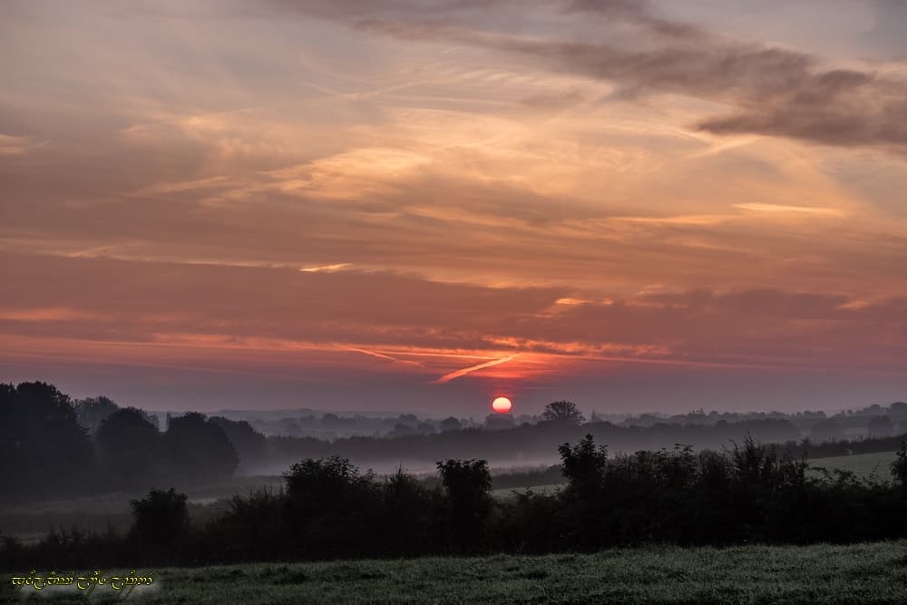 Brumeuse apparition