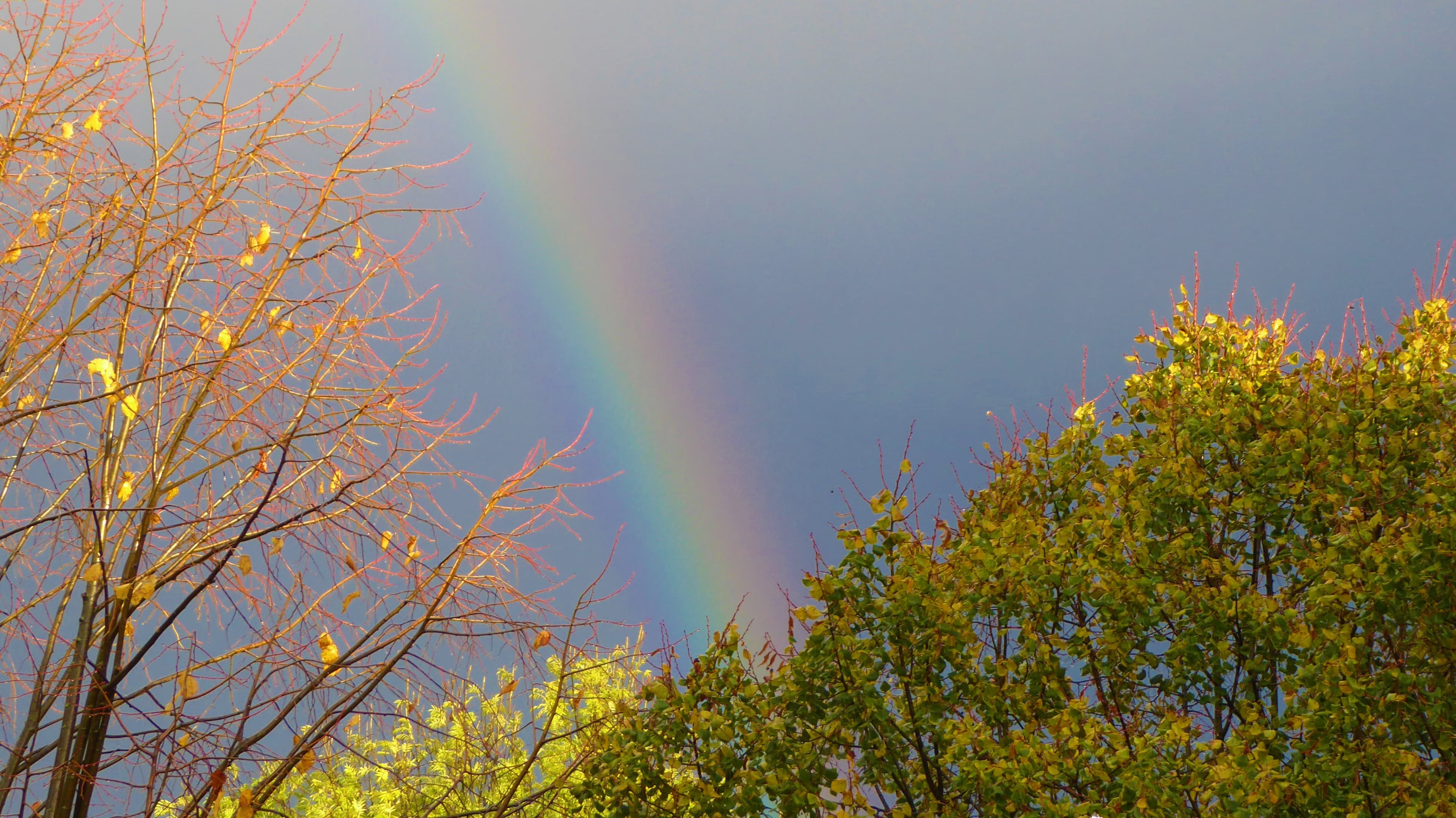 ARC-EN-CIEL EN AUTOMNE