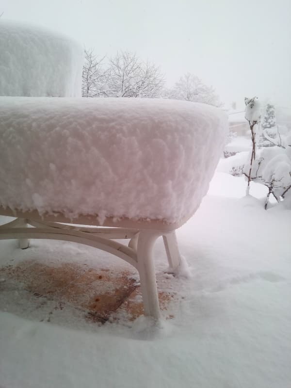 55cms sur la table ,29 nov21 à 930m