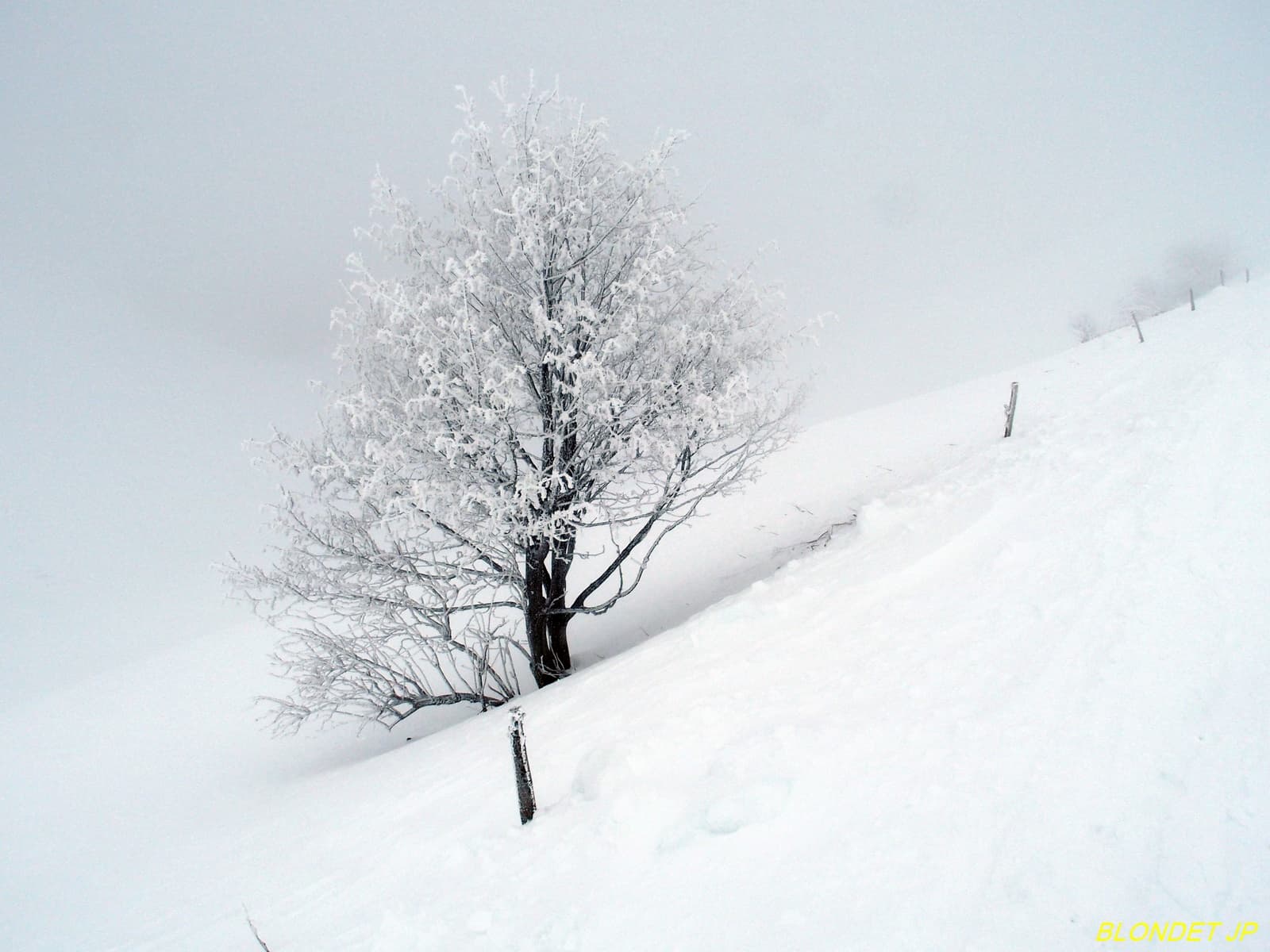 Paysage d'hiver au Charmant Som