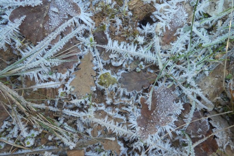glace