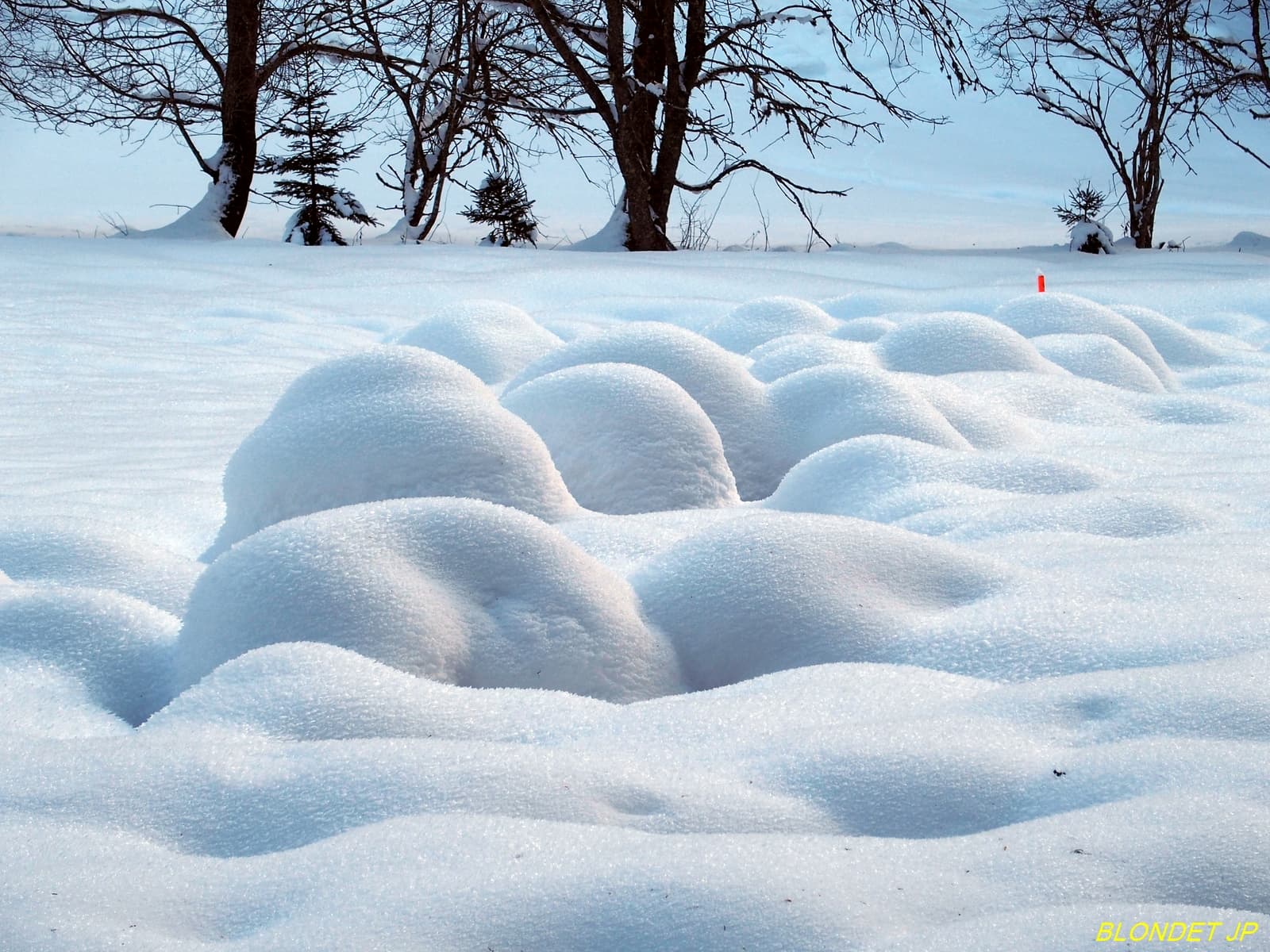 Boules de neige dans les Bauges