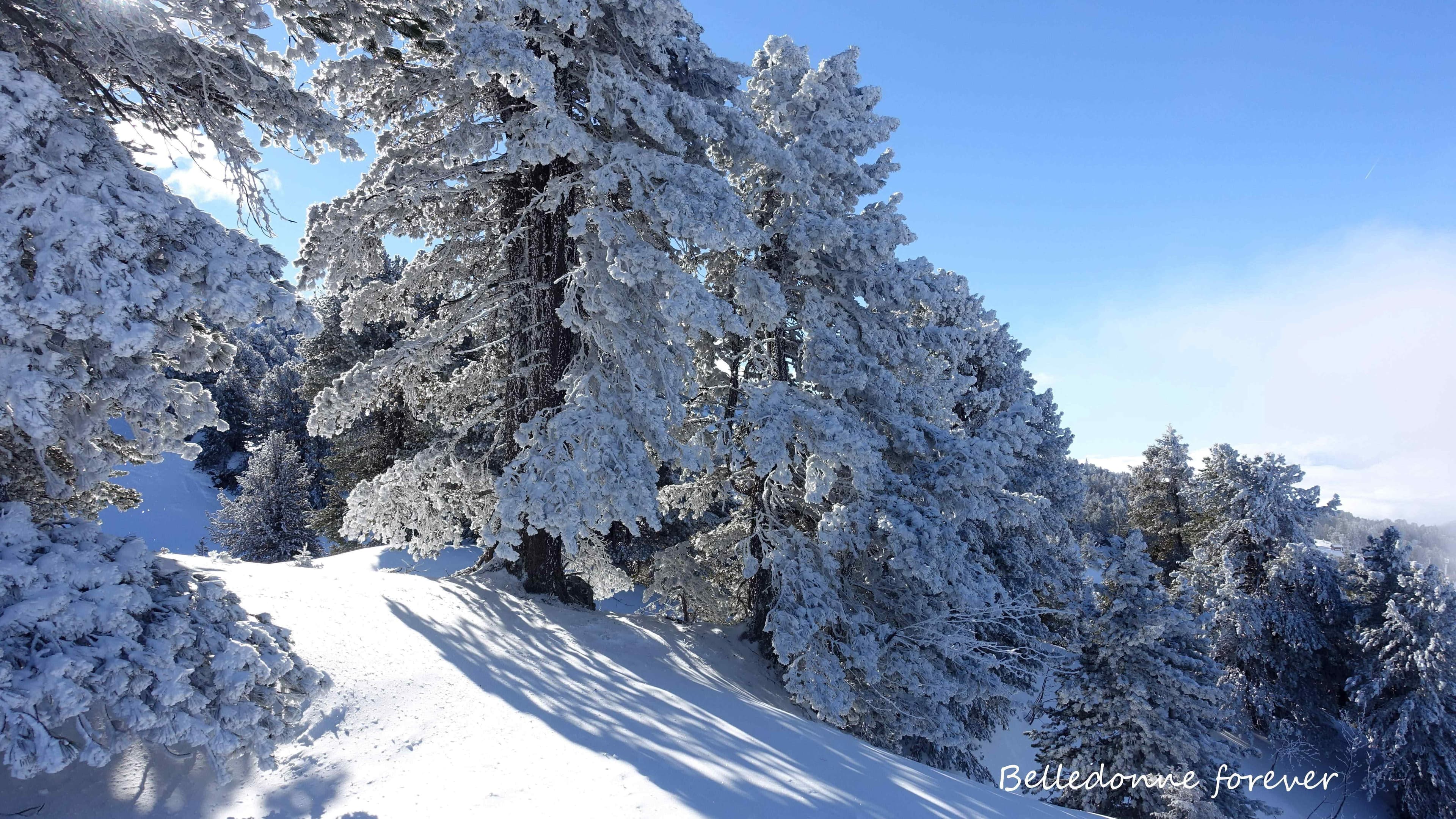 Peu de neige fraiche, la neige béton n'est pas loin A.P.