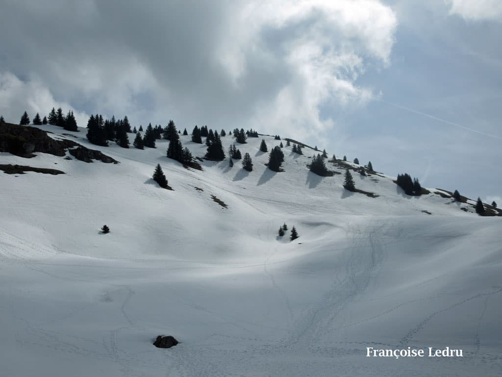 Encore beaucoup de neige
