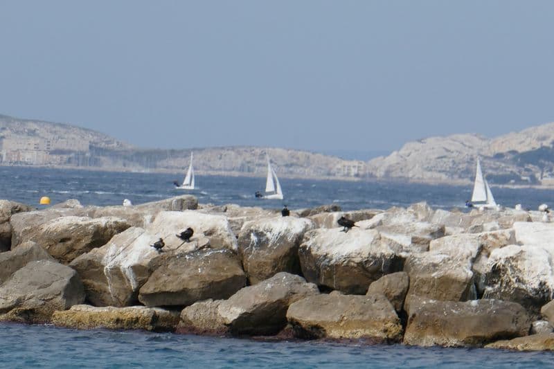 mer agitée au prado