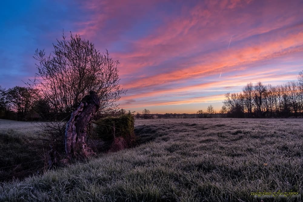 Couleur et fraîcheur