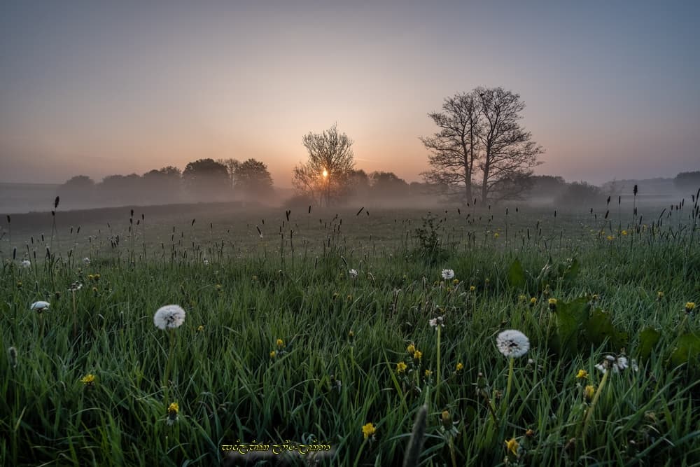 Brumeuse ambiance dans le bocage