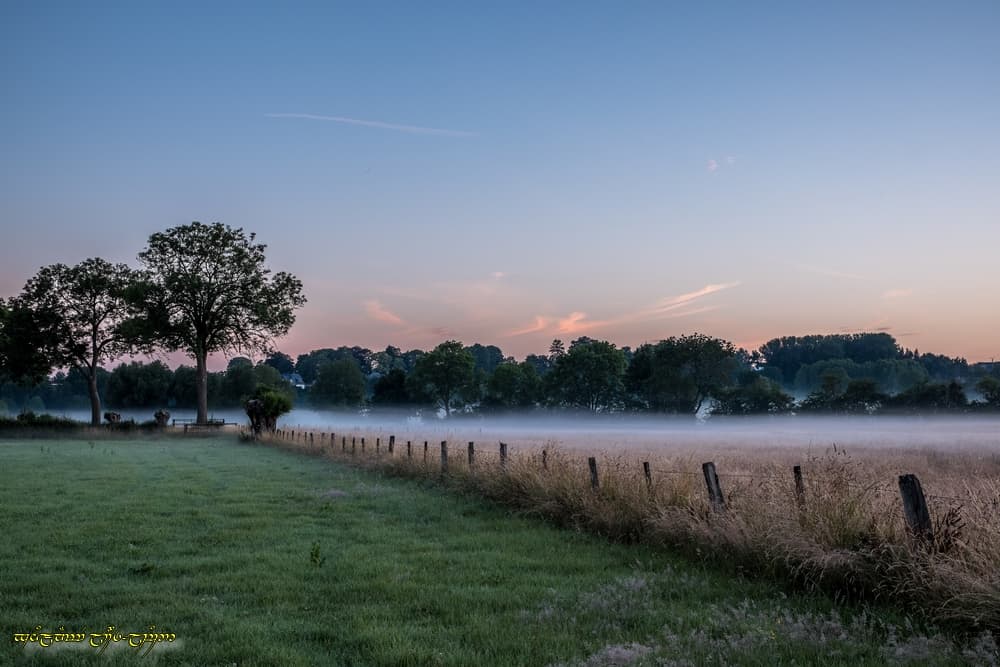 Mi-brume