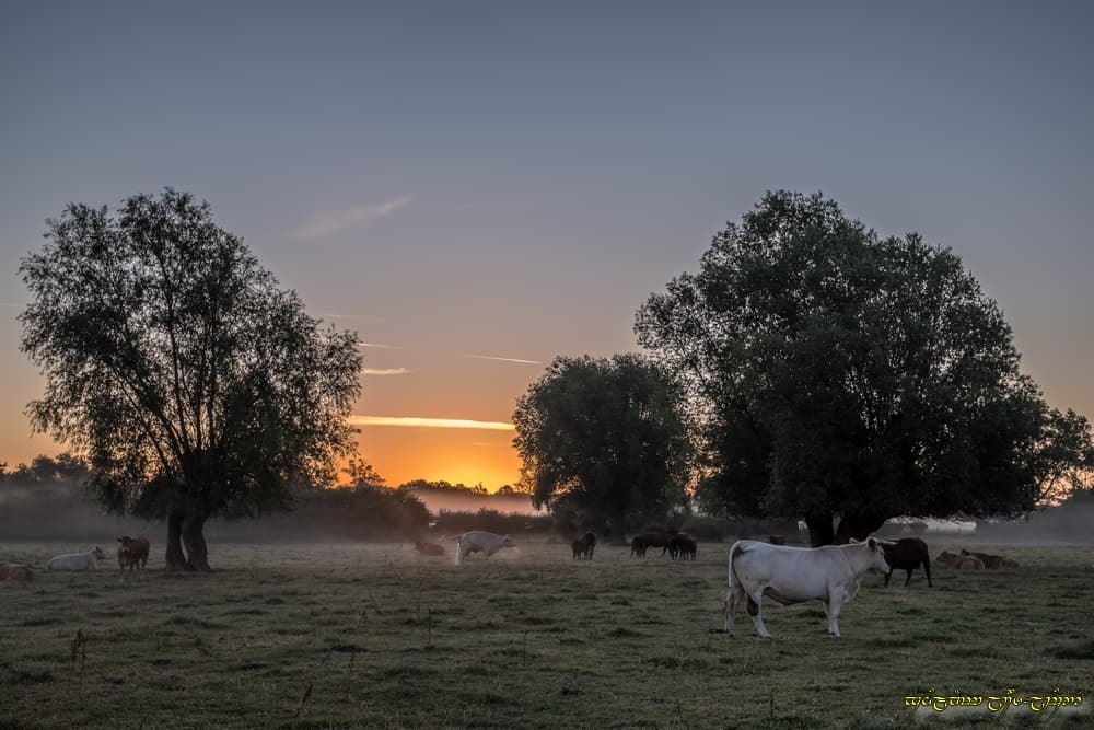 Apparition dans la vallée