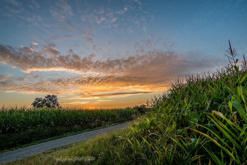 Jolies couleurs dans le bocage