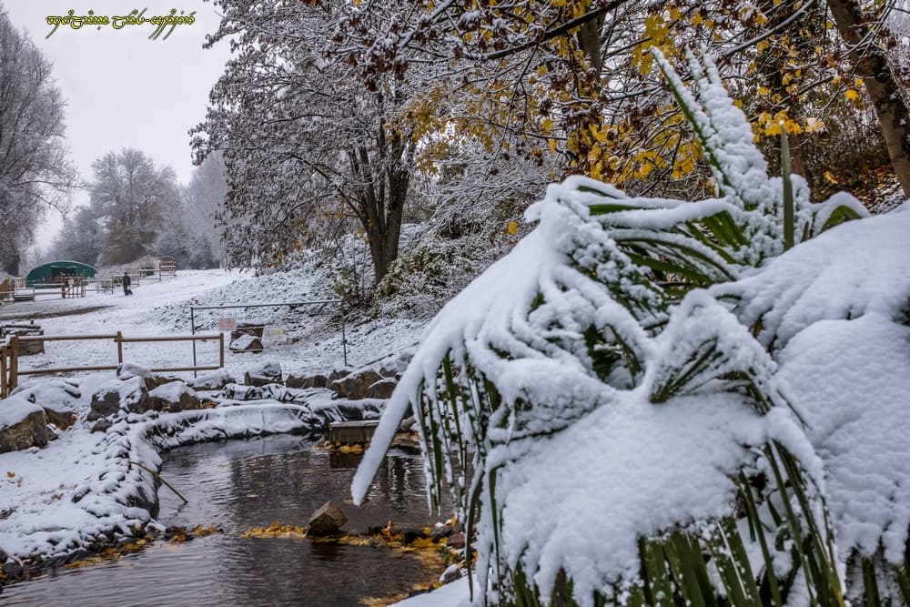 Neige et reliquat d'automne
