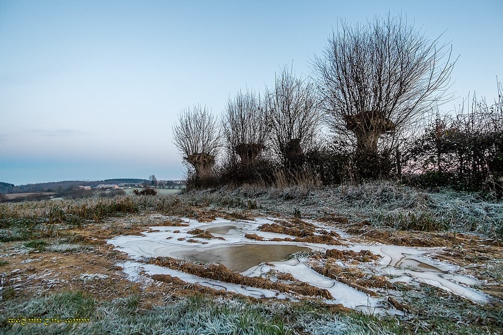 Glace dans le bocage