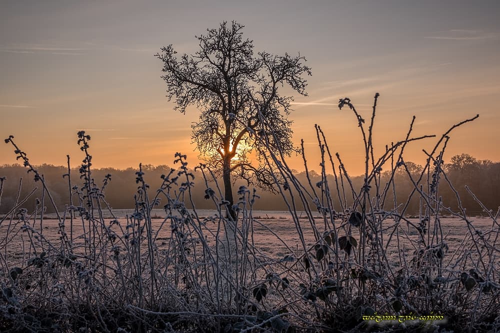 Emergence froide et colorée