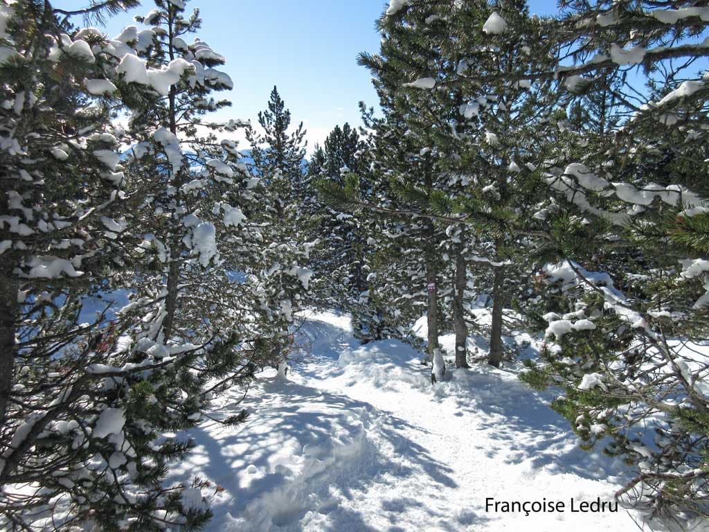 Chemin enneigé vers le lac Achard
