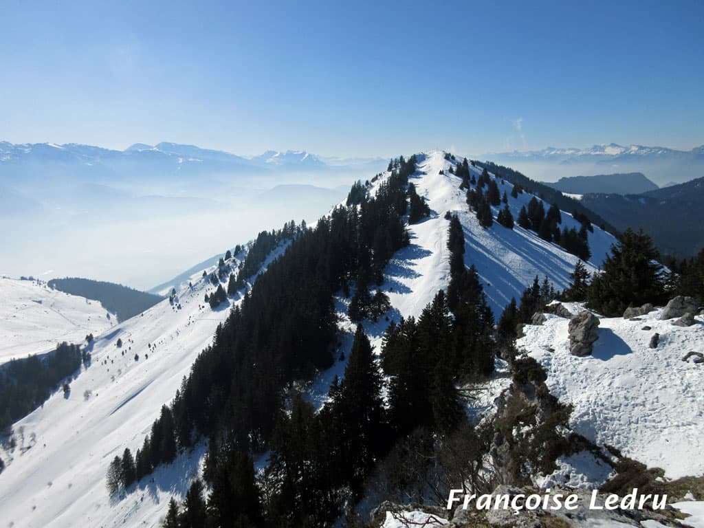 Soleil au-dessus de la pollution