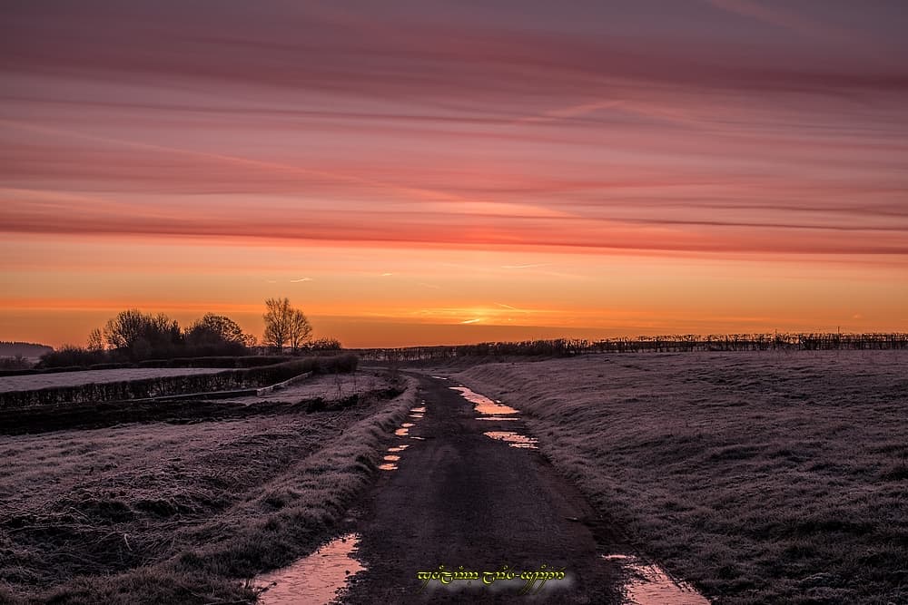 Du rouge et de la glace dans le bocage