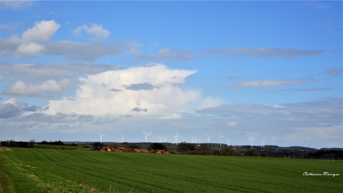 Entre les averses ...