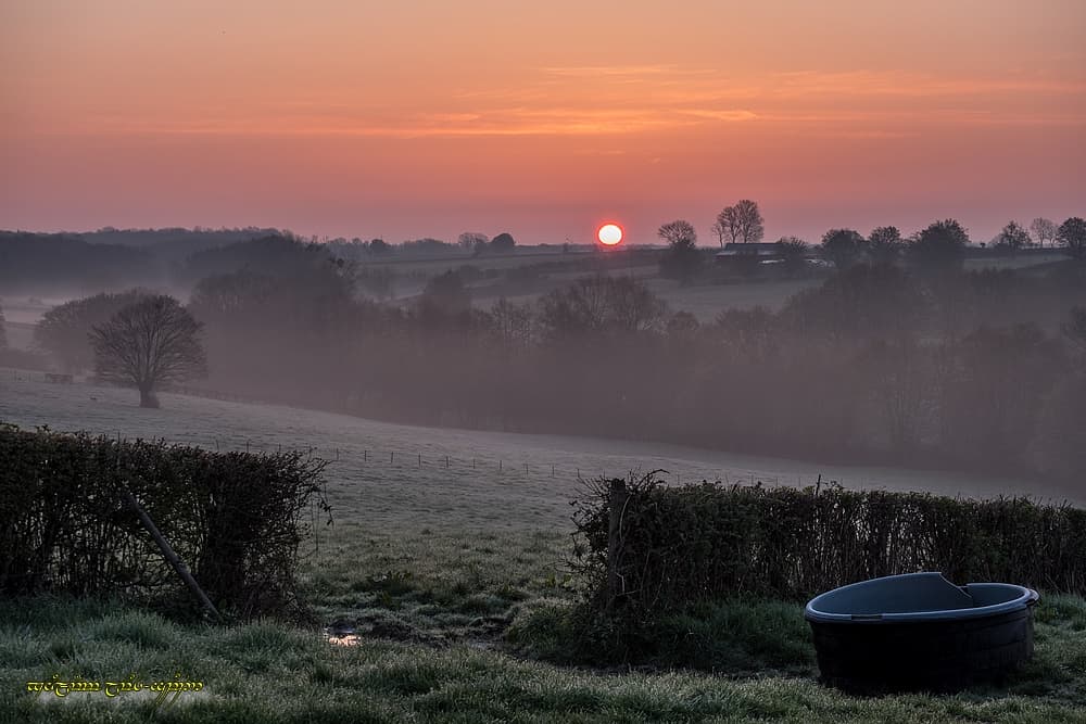 Dans le bocage matutinal