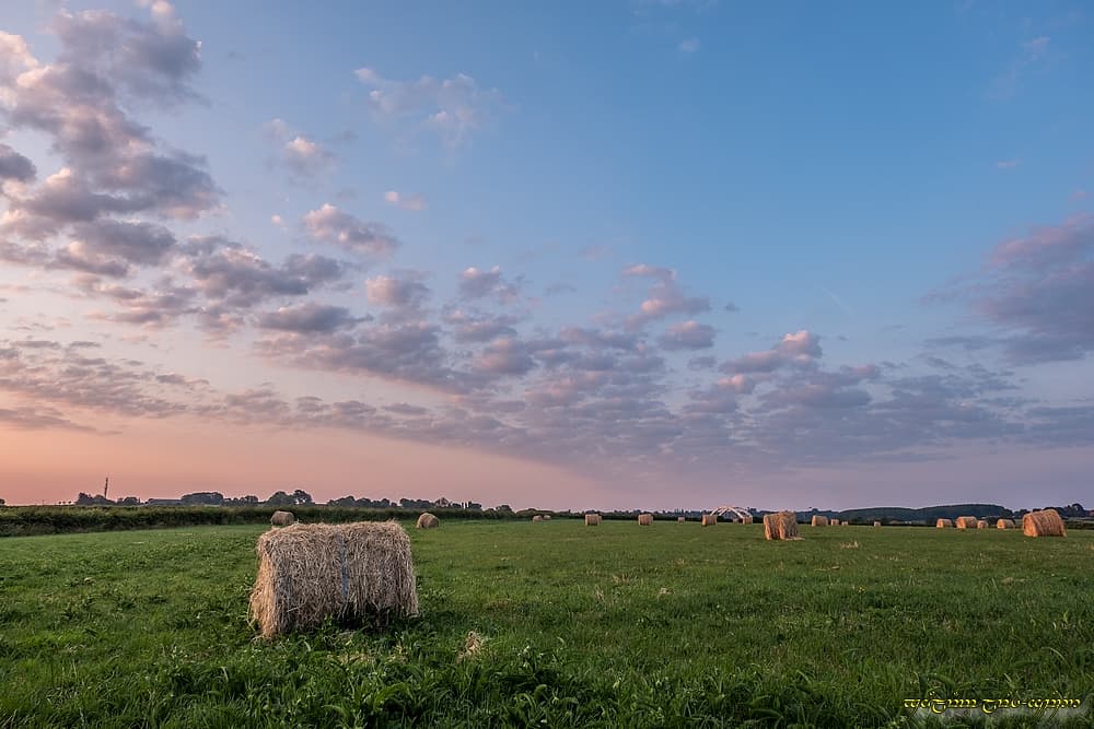 Matinale vision d'été