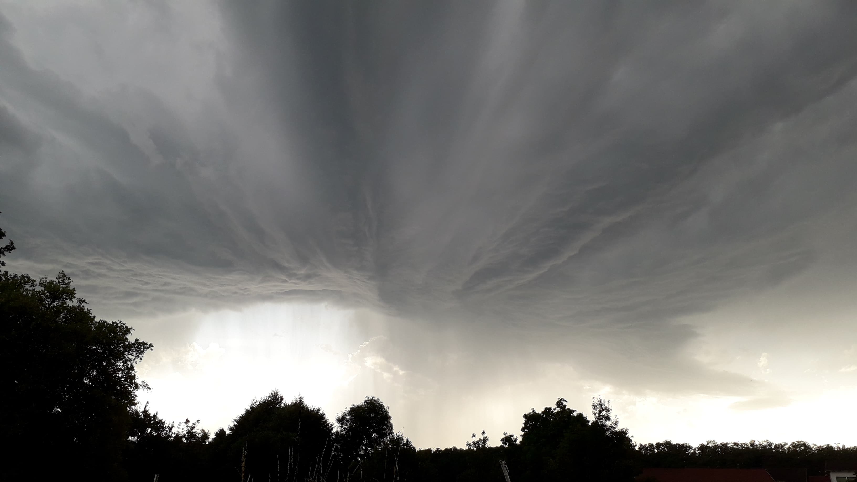 Cellule impressionnante