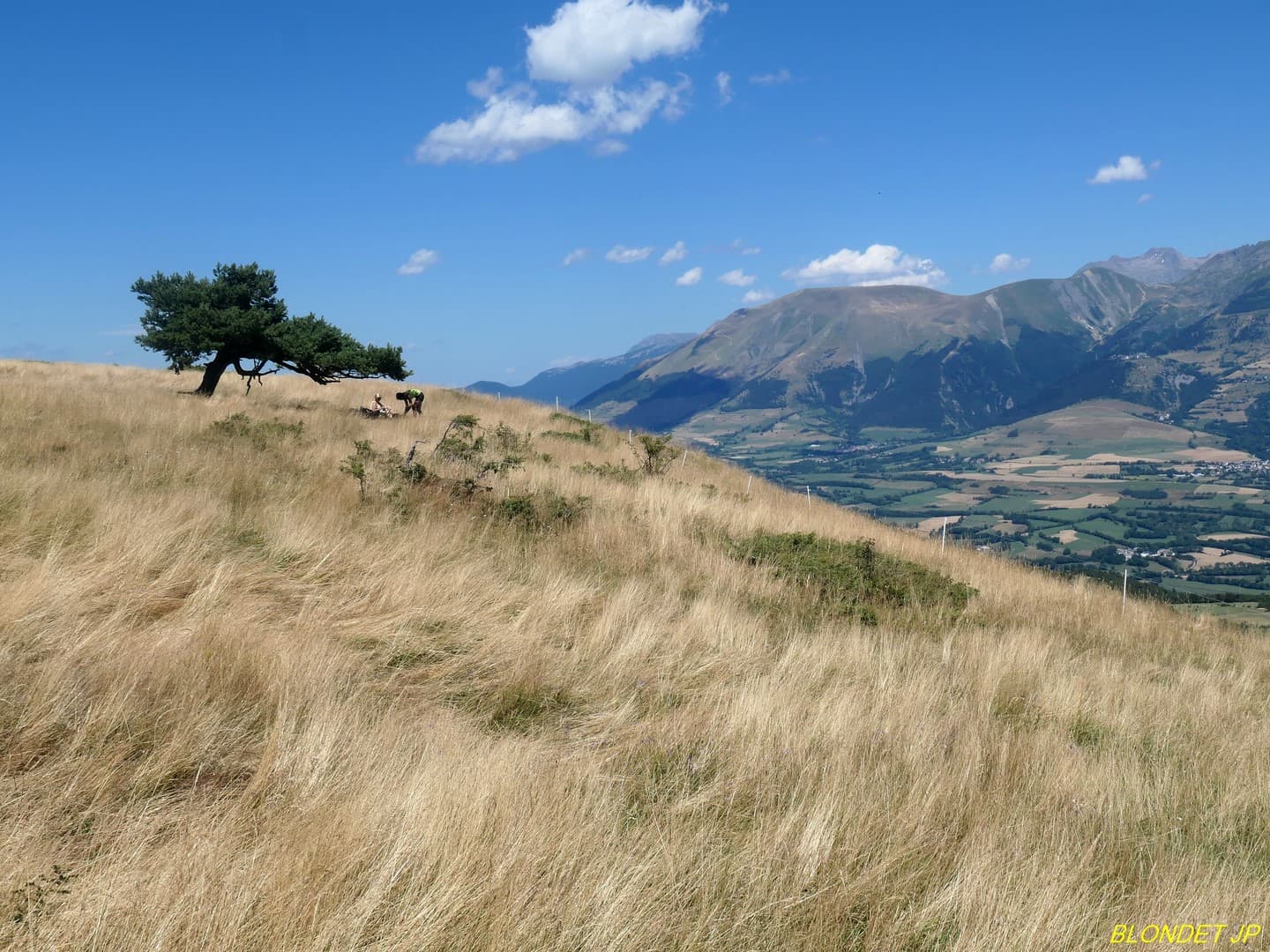 Grand Serre vu du Serre de la Combette (Sénépy)