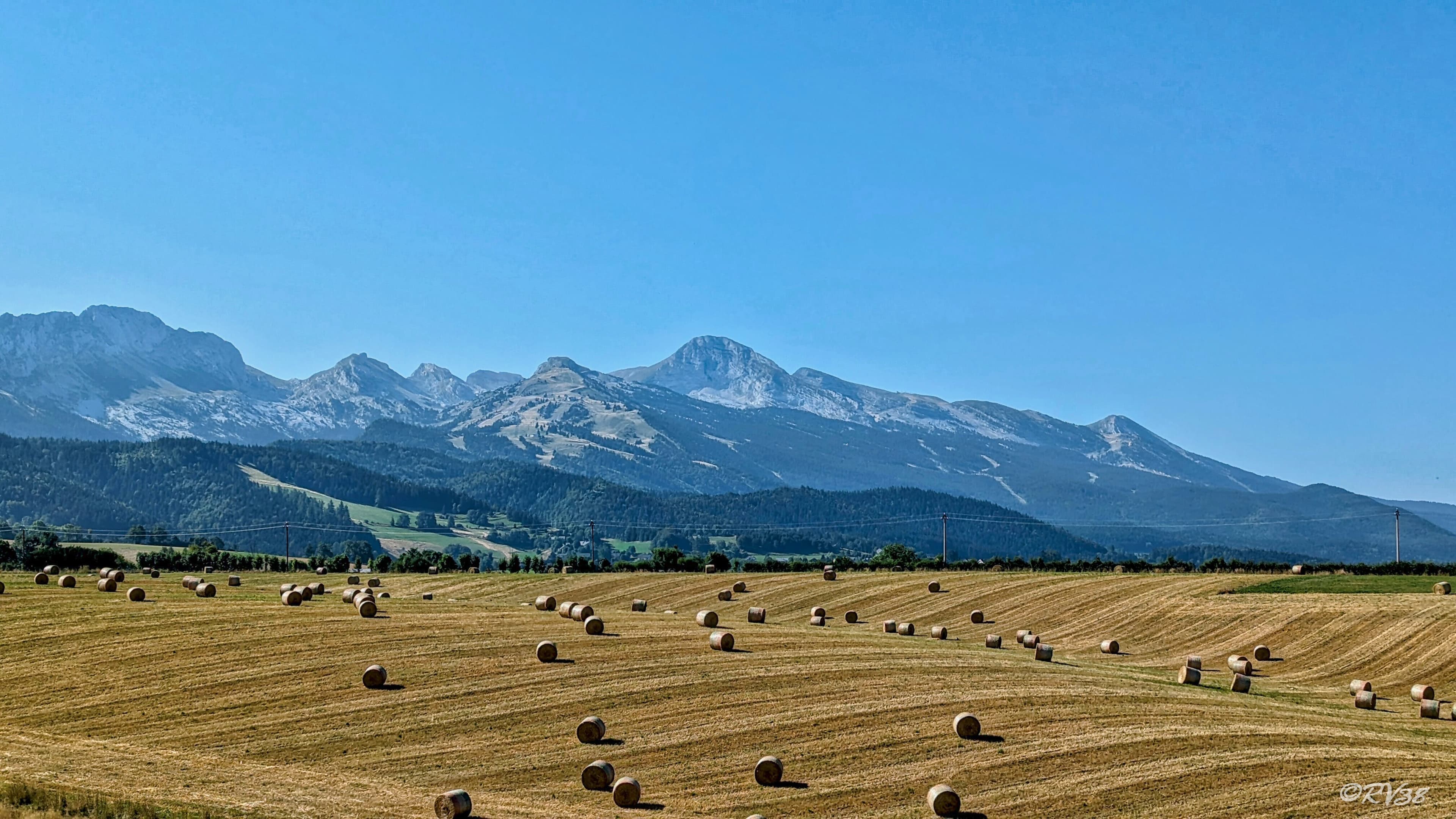 Champ et montagne