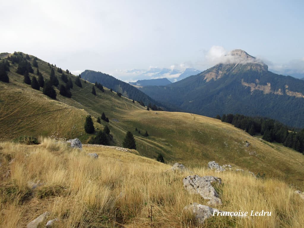 Temps mitigé en Chartreuse