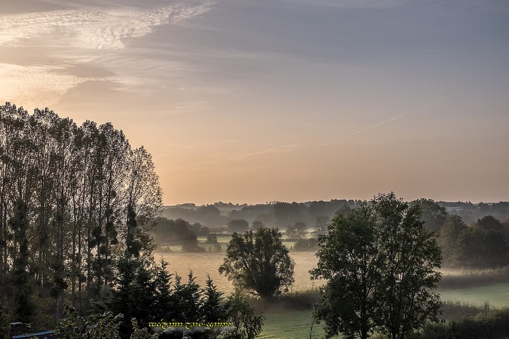 Bocage embrumé