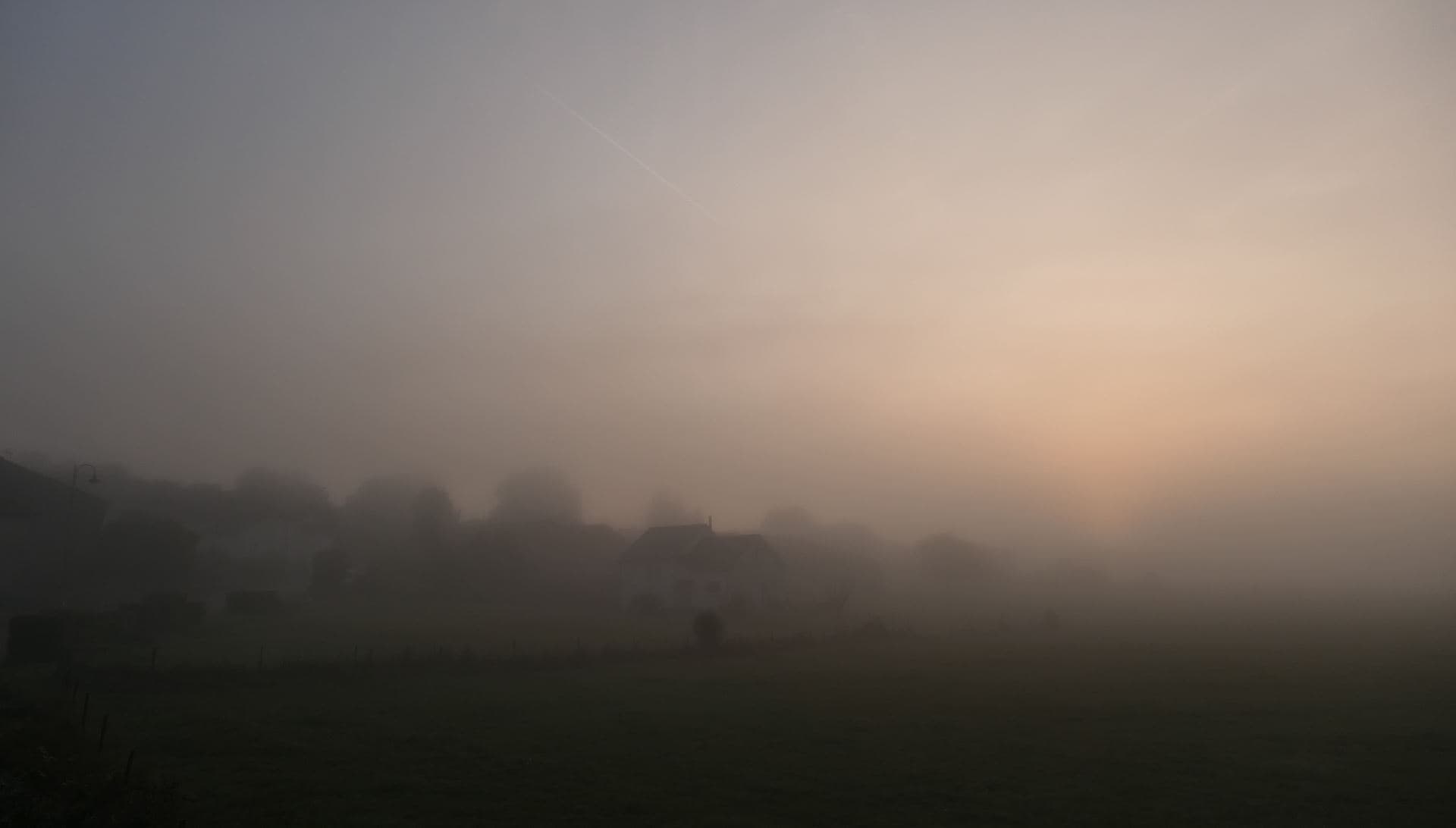 Brouillard matinal