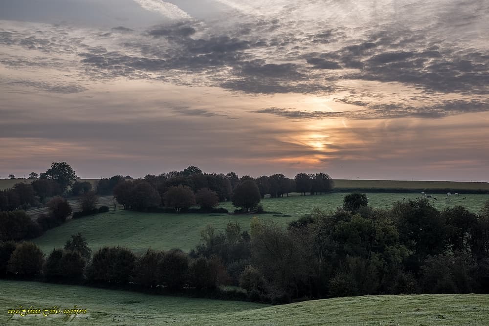 Terne bocage...