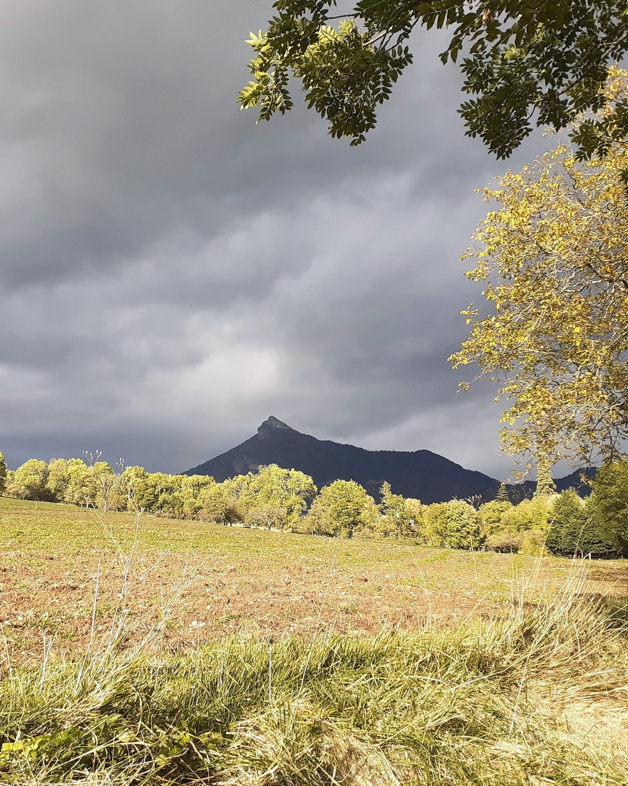 La Pinea dans l'ombre