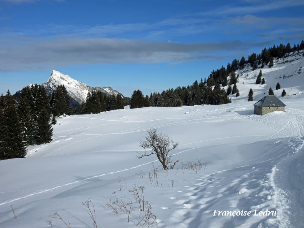 Soleil et neige en montagne