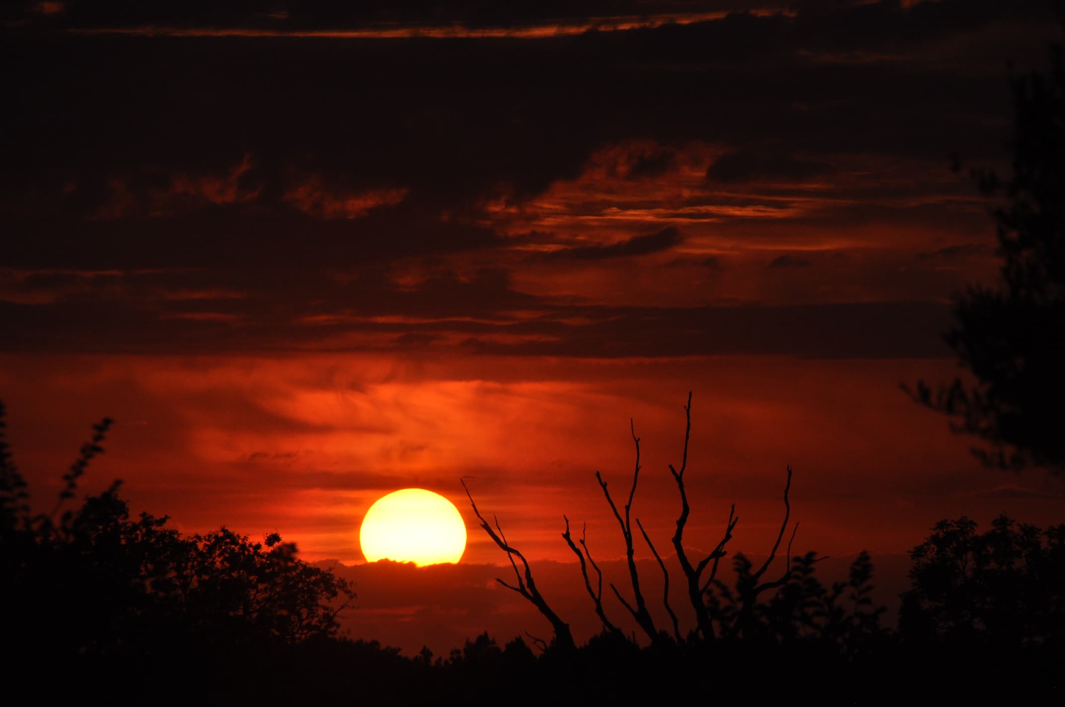 Les couleurs du soir ... saisissante !!!
