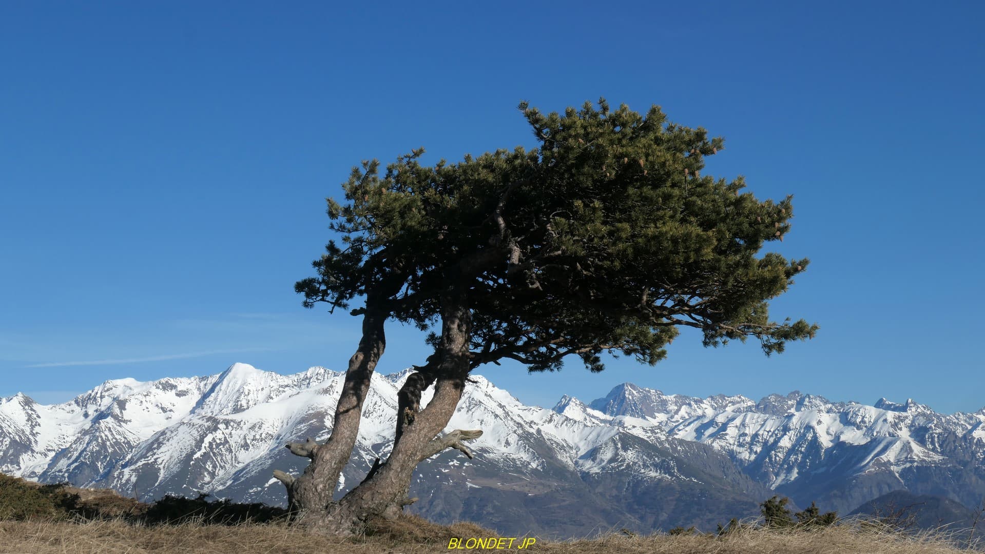 Serre de l'Horizon