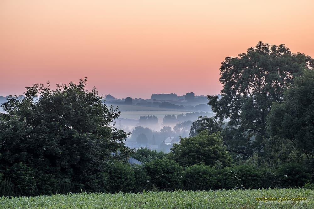 Fenêtre sur brume