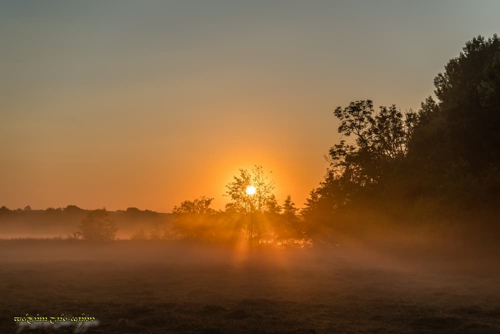 Quelques rayons dans le bocage de fond de vallée