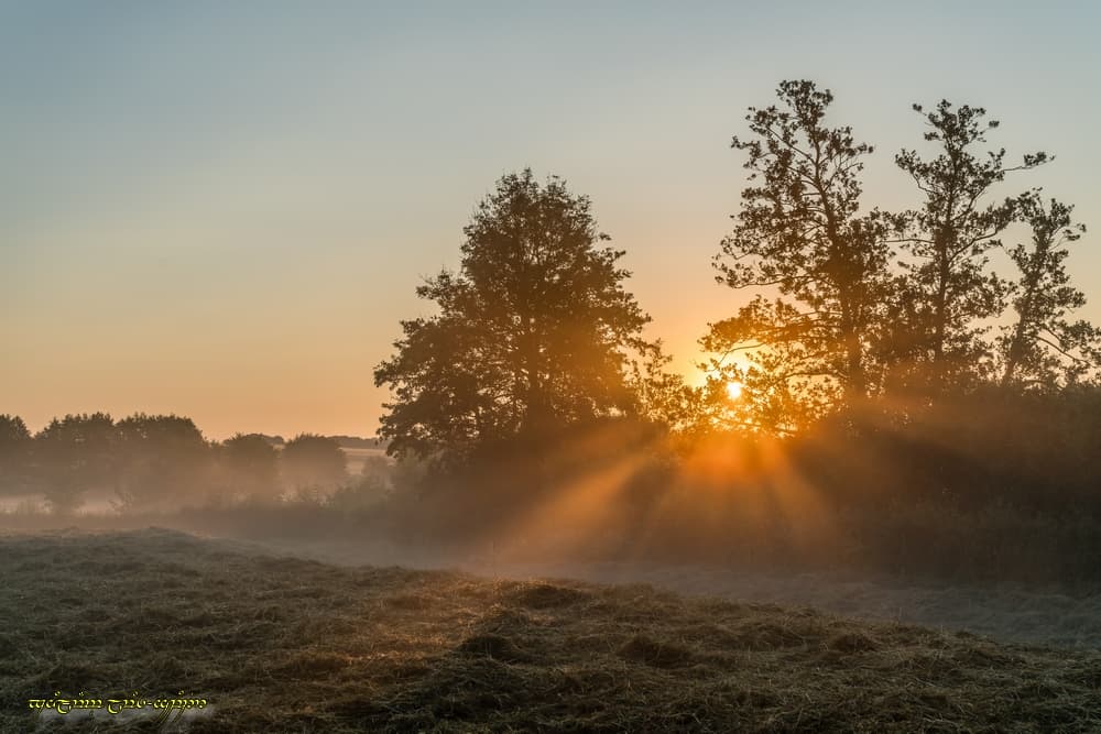D'autres rayons