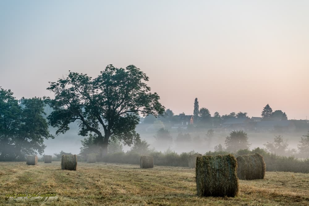 L'été...