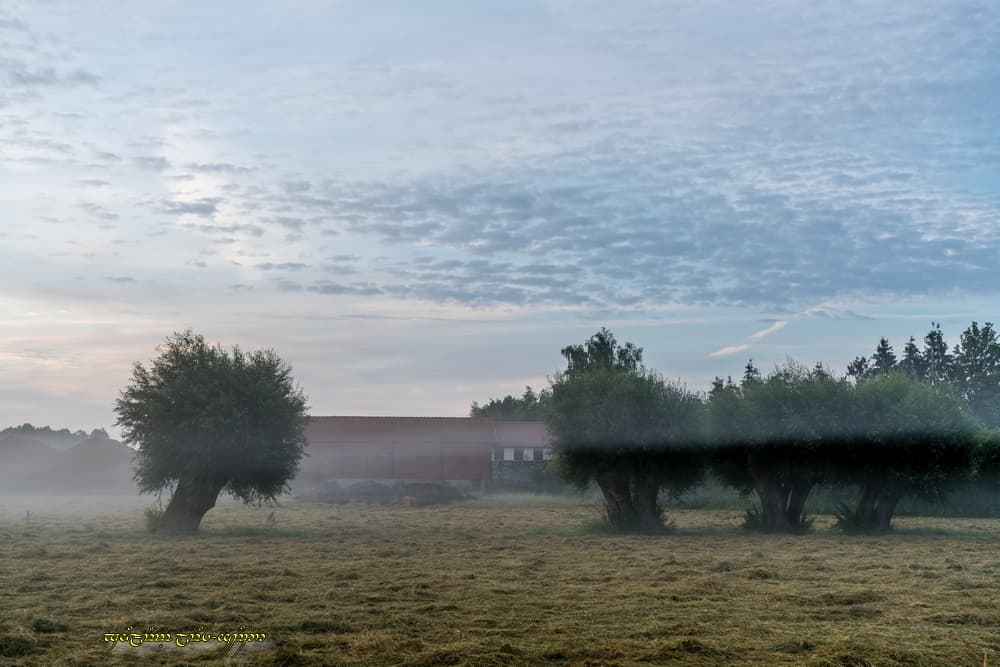 Brume stratifiée