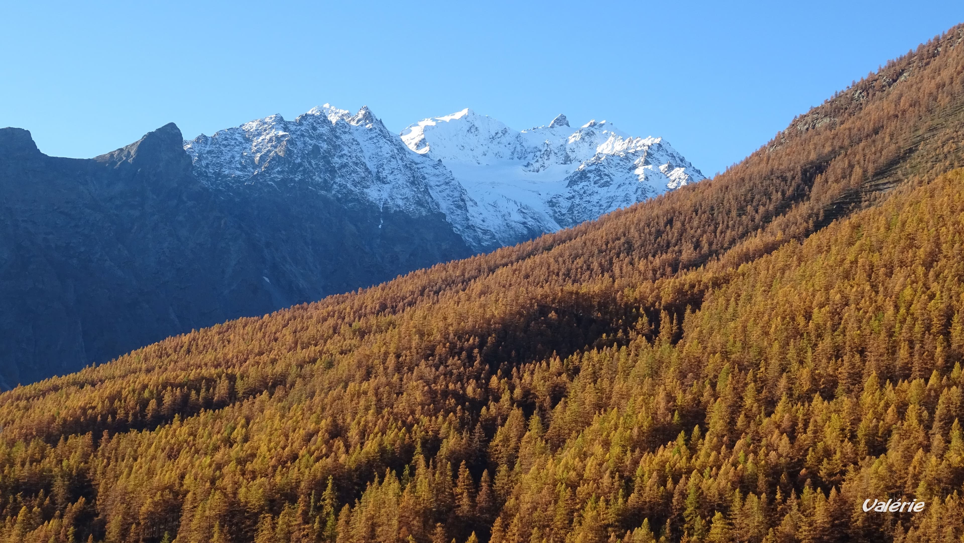 Couleurs d'automne