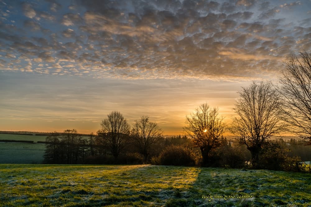 Le frais bocage