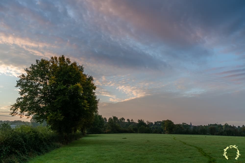 Les pastels du bocage