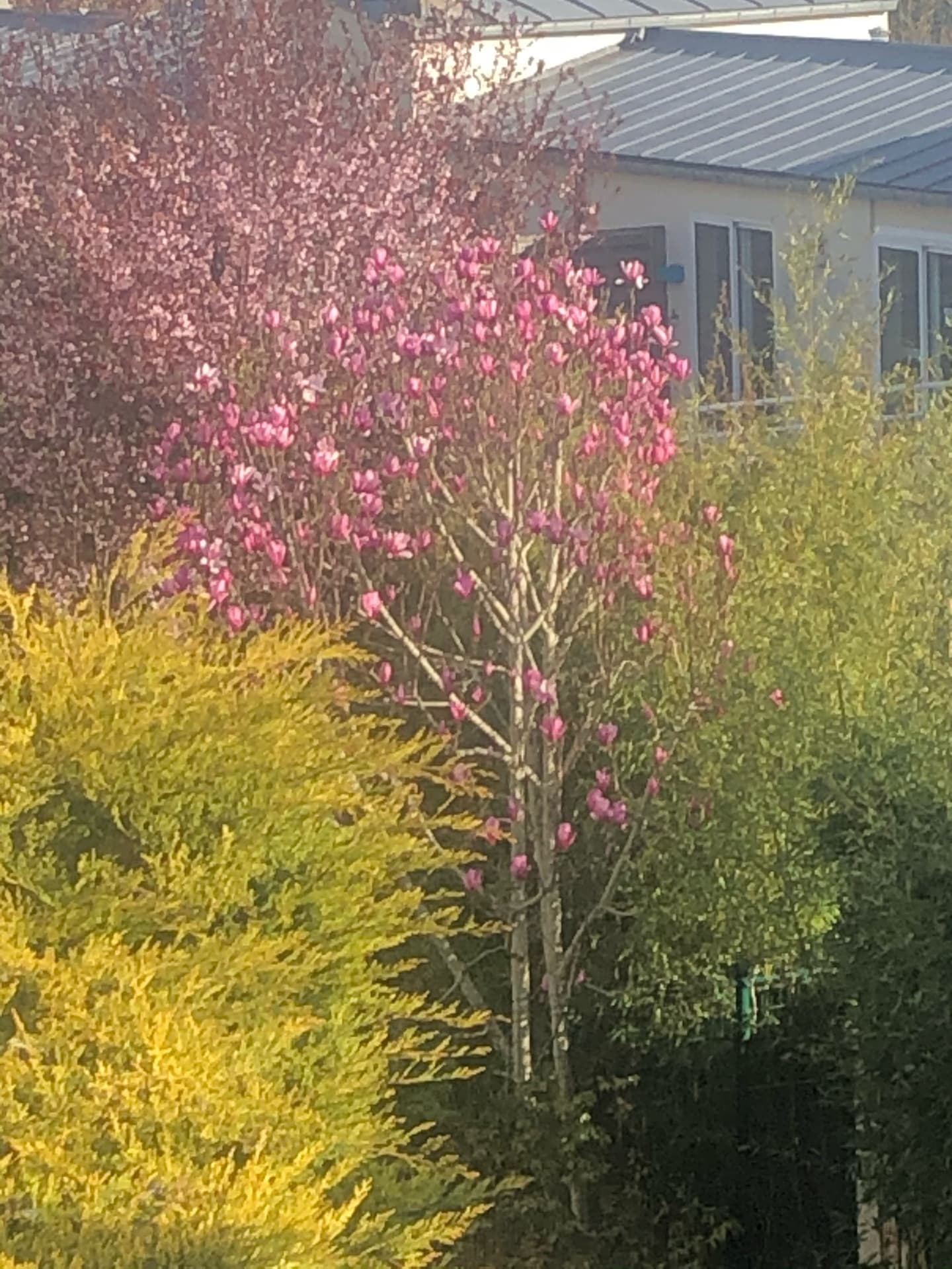 couleur-printemps