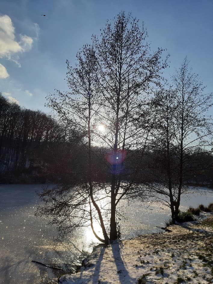 etang-de-la-garenne