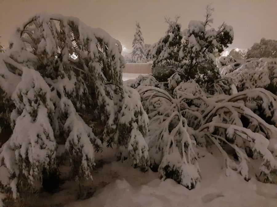 Image d'illustration pour Retour en force de la neige en France