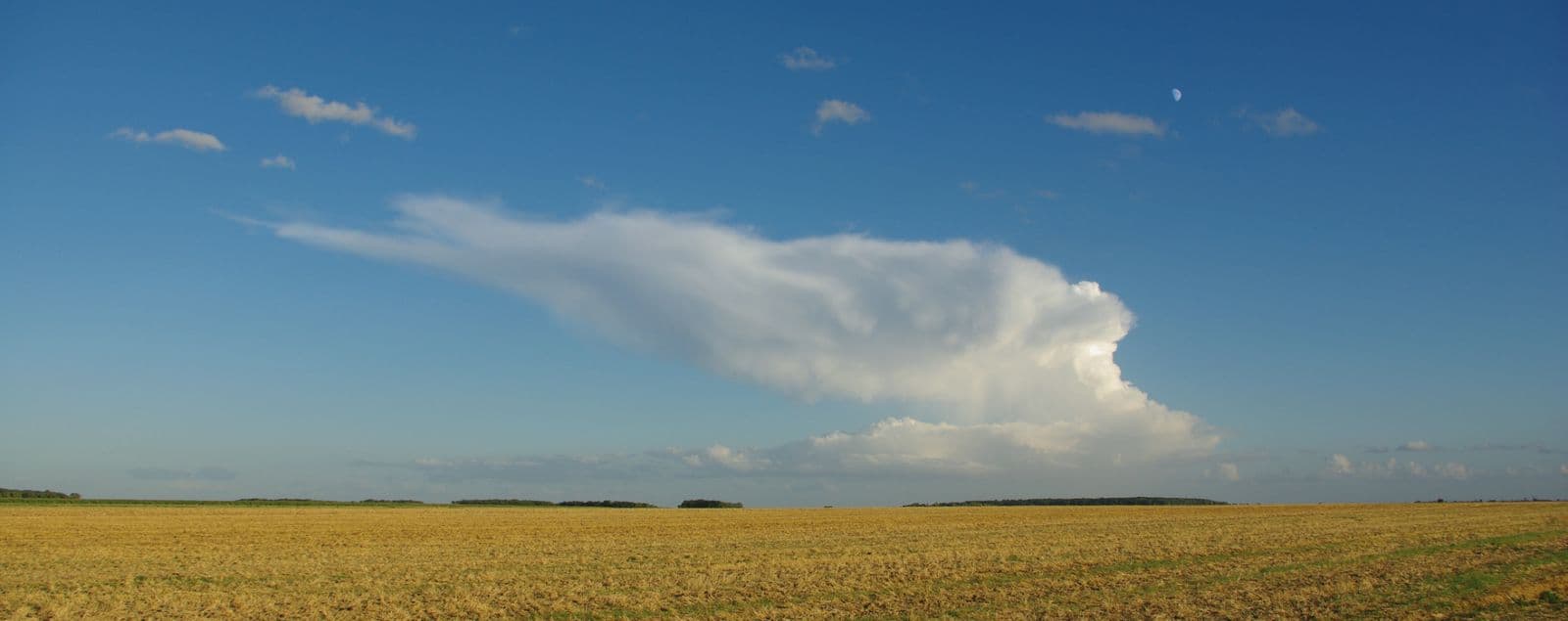 Image d'illustration pour Phénomènes orageux - le cumulonimbus