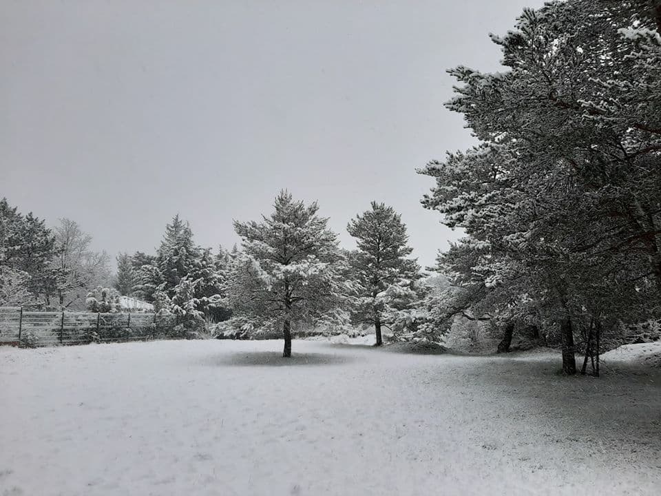 Image d'illustration pour Episode de froid tardif sur le pays en ce début de Printemps